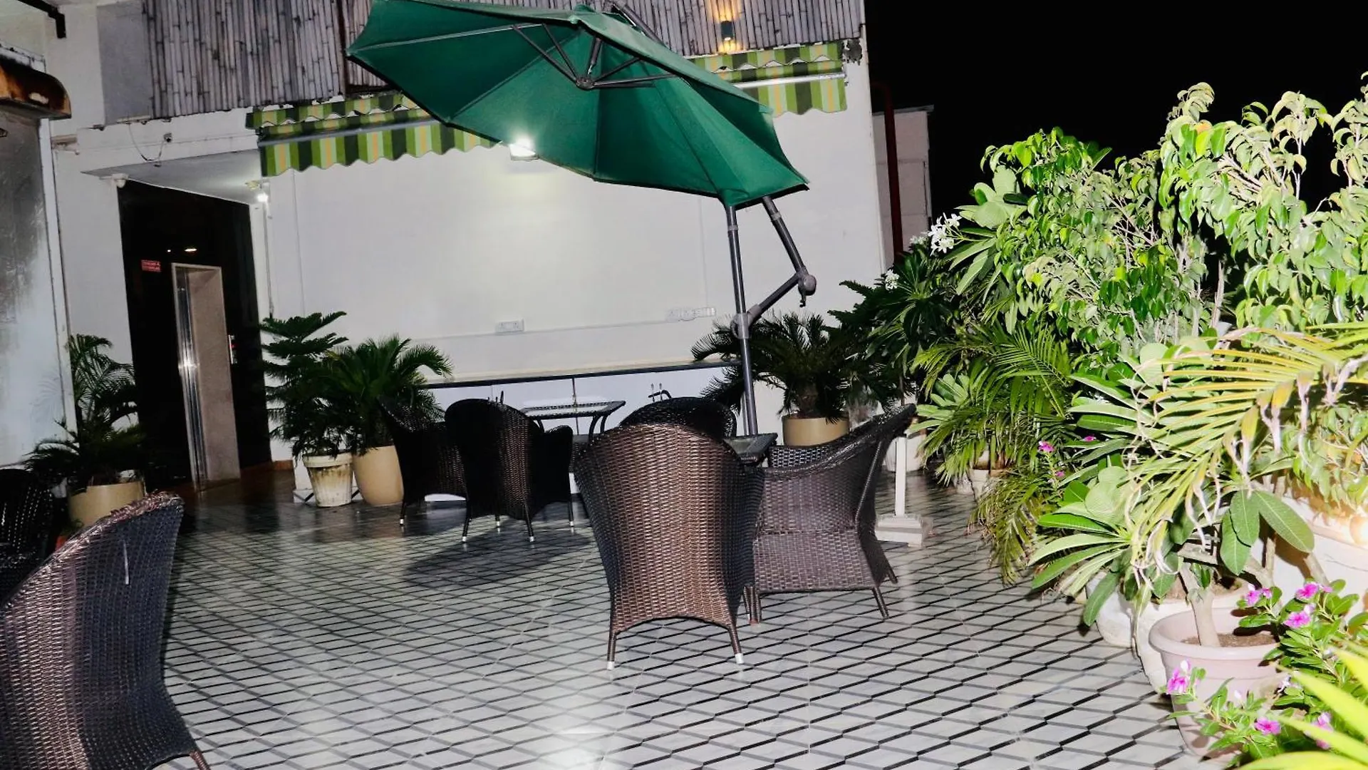Hotel Magic Tree Karol Bagh Metro Station New Delhi Delhi (National Capital Territory of India)