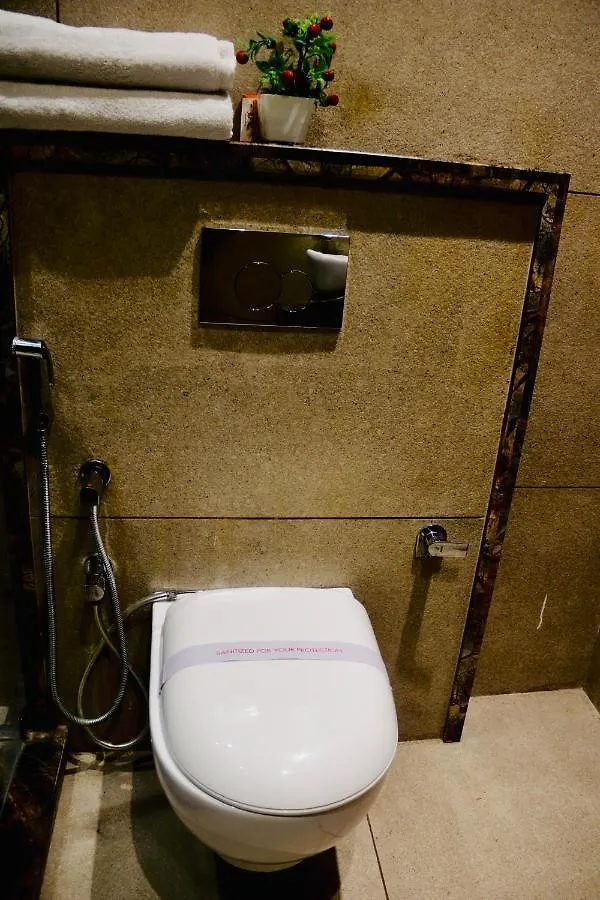 Hotel Magic Tree Karol Bagh Metro Station New Delhi  Delhi (National Capital Territory of India)