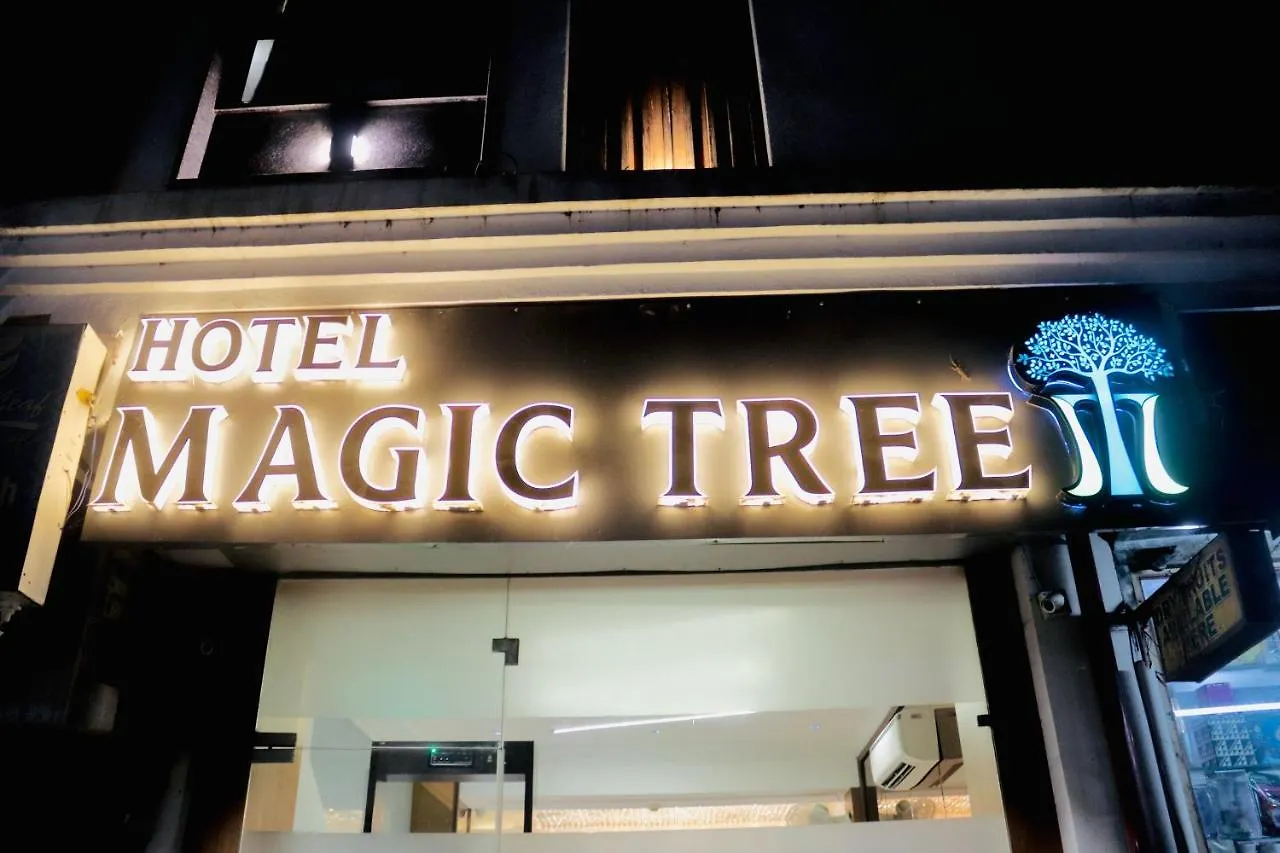Hotel Magic Tree Karol Bagh Metro Station New Delhi Delhi (National Capital Territory of India)